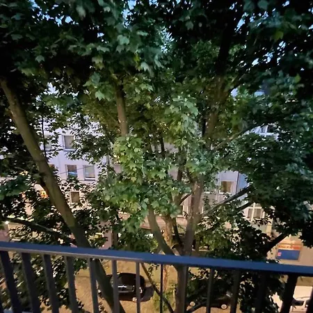 Modern Roof Terrace * Düsseldorf